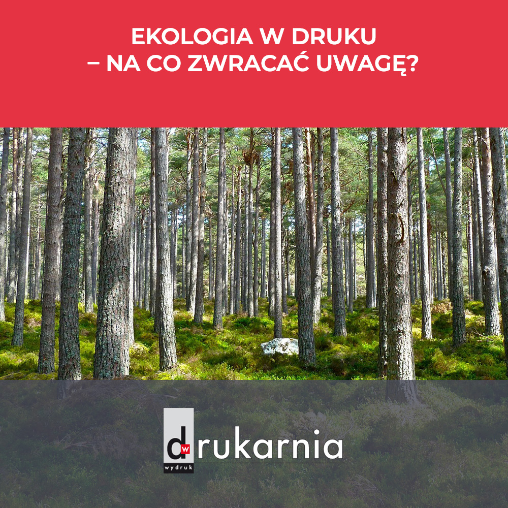 Ekologia w druku  - na co zwracać uwagę?